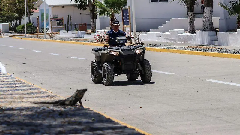 Transporte en las Islas Marías (1)